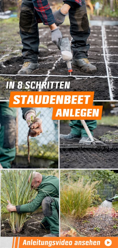 Staudenbeet Anlegen Anleitung In Schritten Obi In