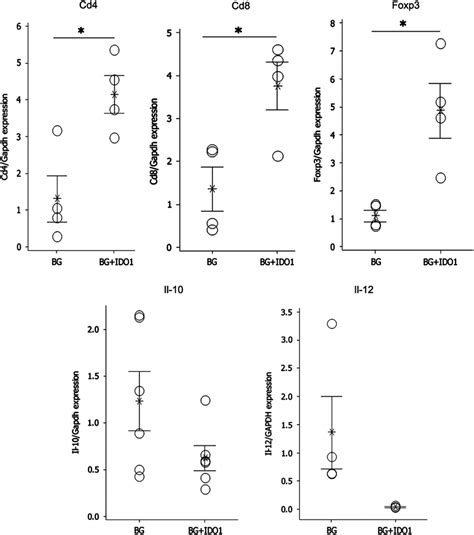 Inflammatory gene expression changes in IDO1 co-injected muscles ...