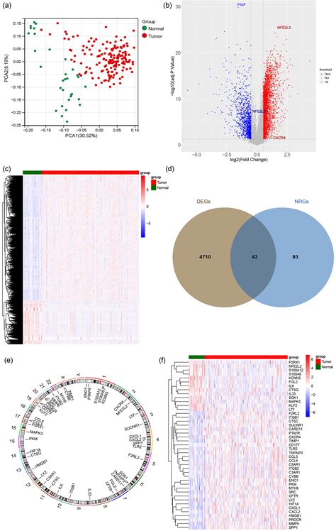 Identification And Validation Of Molecular Subtypes And Prognostic