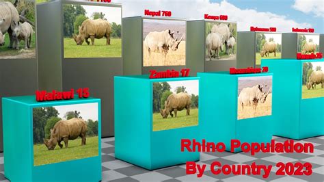 Rhino Population By Country Biggest Rhino Populations In The