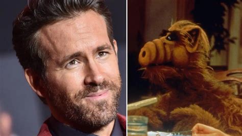 Alf Kommt Zurück Ryan Reynolds Erweckt Ihn Wieder Zum Leben