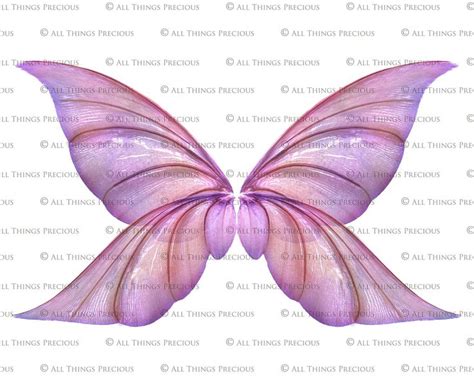 20 Png FAIRY WING Overlays Set 30 Fairy Wings Overlays Insect Wings