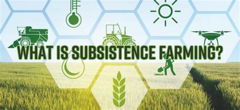 What is Subsistence Farming? How can it help to revolutionize the agriculture in Africa ...