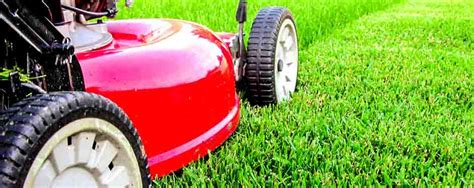 Стрижка газонов