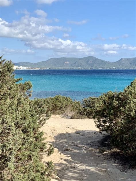 Blick Auf Bucht Naturschu Hipotels Bah A Cala Millor Cala Millor