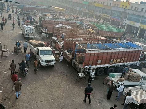 Truck Drivers Protest Live Update Hit And Run Law Mumbai Up Bhopal