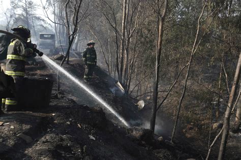 Cile Lotta Contro Gli Incendi Boschivi Dichiarato Lo Stato Di