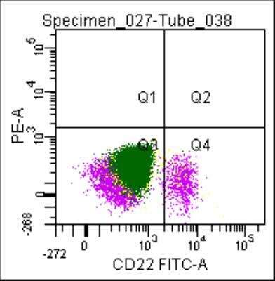 Siglec 2 CD22 Antibody RFB4 FITC NBP2 49890F Novus Biologicals