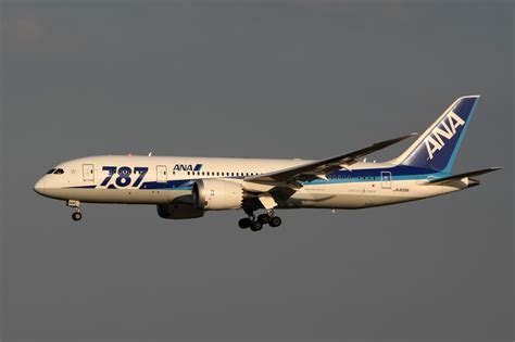 All Nippon Airways Ana Air Japan Boeing Dreamliner