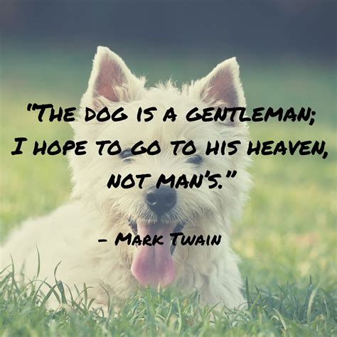 Dog Quotes — We Rounded Up The Best Of The Best