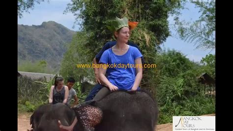 Elephant Thailand Tour Near Bangkok Via Bangkok Day Tours Youtube