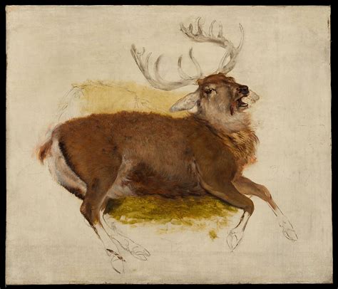 Sir Edwin Henry Landseer Dying Stag The Metropolitan Museum Of Art