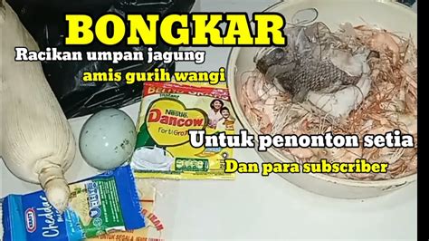 Bongkar Racikan Umpan Jagung Amis Gurih Wangi Youtube