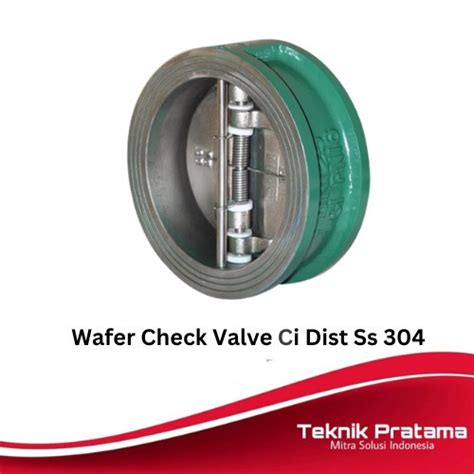 Jual Wafer Check Valve Inch Cast Iron Disc Ss Pn Jakarta