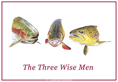 Trout Fly Fishing Holiday Cards Bobwhite Studio