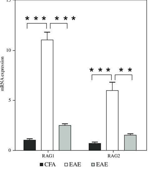 Blockade Of Baff With Taci Igg Reversed Rag Gene Expression In Eae