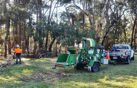 How Much Does Tree Removal Cost In Melbourne Tree Amigos Victoria