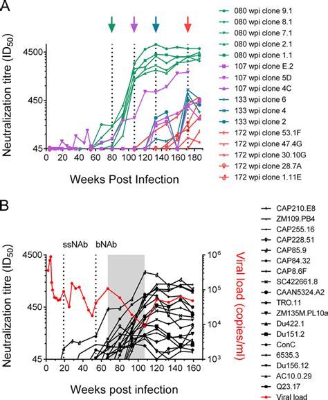 Contemporaneous Neutralization And Changes In Viral Load Associated