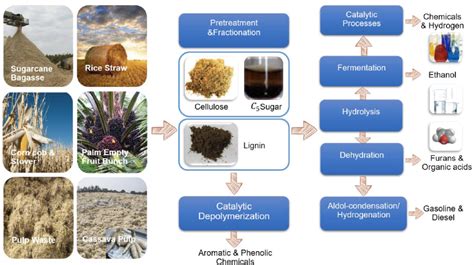 Green Bio Based Materials From Agricultural Waste For A Circular