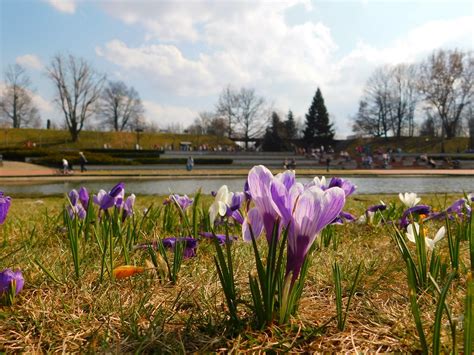 Park Cytadela W Poznaniu Historia Atrakcje Sztuka