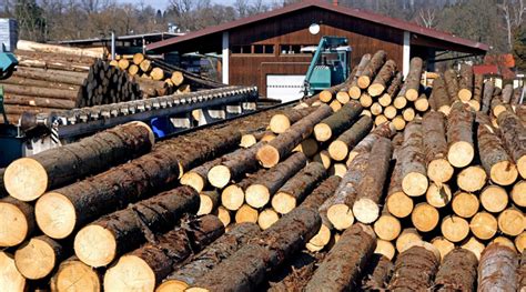 How The Lumber Industry Benefits The Environment Part 1