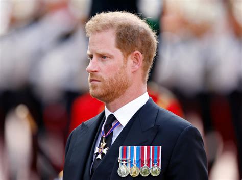 What Medals Does Prince Harry Have And How Did He Earn Them Flipboard