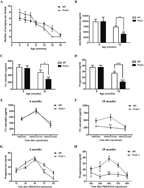 Figure 1 From Peroxiredoxin 2 Deficiency Accelerates Age‐related