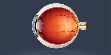 Common Retinal Diseases | Retina Macula Specialists of Miami