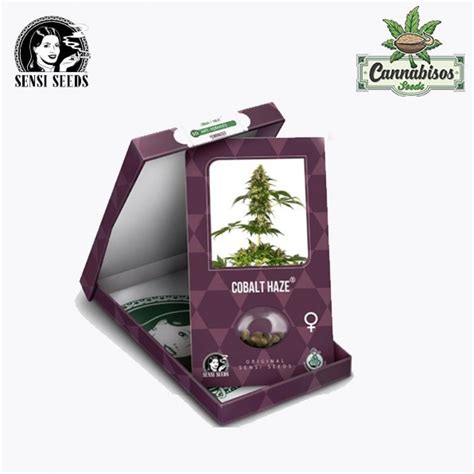 Cobalt Haze Feminized Seeds Sensi Seeds Cannabisos Seeds Σπόρια