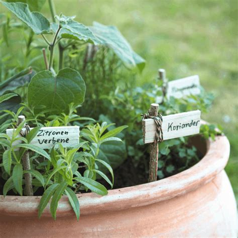 25 Outdoor Herb Garden For Beginners Ideas To Consider Sharonsable