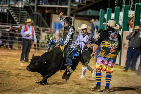 National Rodeo Association - Warwick Junior - JUNIOR SERIES