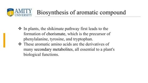 Biosynthesis Of Aromatic Amino Acid Ppt