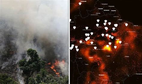 Amazon fires map: How much of the Amazon Rainforest has been LOST by ...