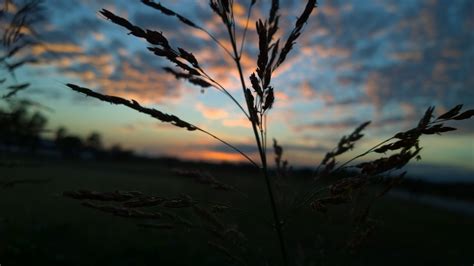 Wallpaper Sunlight Landscape Sunset Nature Reflection Sky