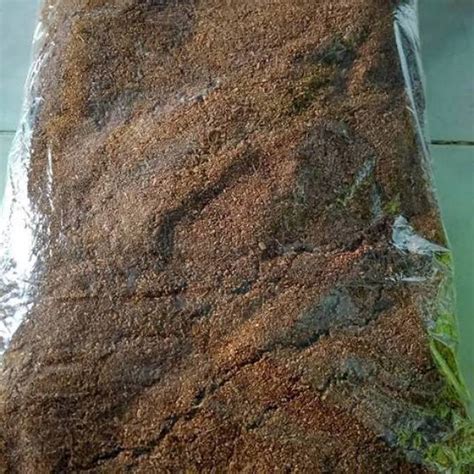 Jual Cocopeat Gram Media Tanam Cocopit Kokopit Tumbuhan