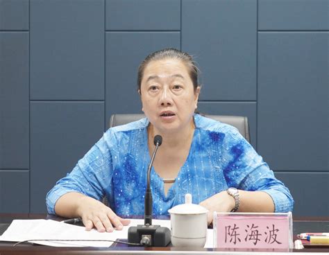 自治区信访工作联席会议办公室召开全区集中治理重复信访、化解信访积案专项工作视频调度会 广西壮族自治区信访局门户网站