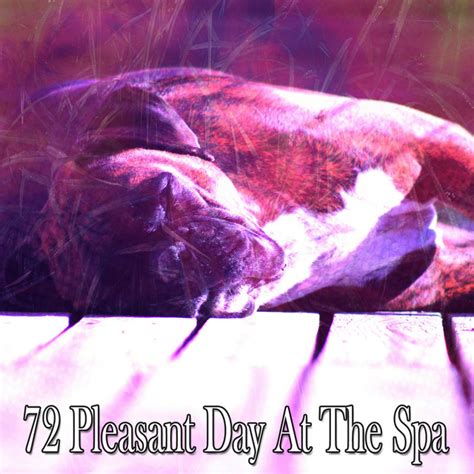 72 Pleasant Day At The Spa Album By Sleep Makers Samples Spotify