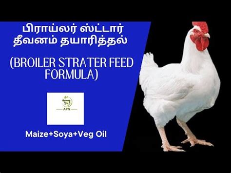 Broiler Starter Feed Formula Maize Soya Bean Meal Veg Oil Youtube