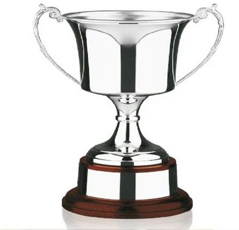 Silver Trophy Cup at Rs 2000 | Trophy Cup in New Delhi | ID: 2851072278391