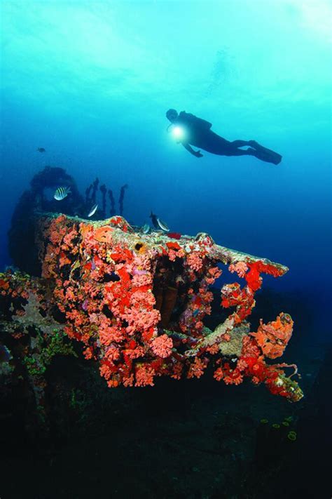 Diving Grenada: A Sea of Ships | Scuba Diving