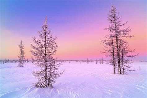 Winter sunrise landscape with glowing red sky. Photograph by Aleksandr Matveev | Fine Art America