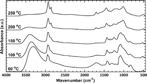 Ftir Spectra Of Pva Precursor Film F Heated In Vacuum For H At