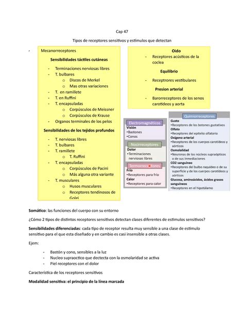 Cap 47 Resumen Guyton E Hall Fisiologia Medica 13 Ed Cap 47