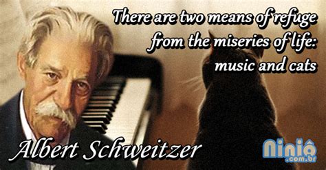 Albert Schweitzer Quotes Animals. QuotesGram