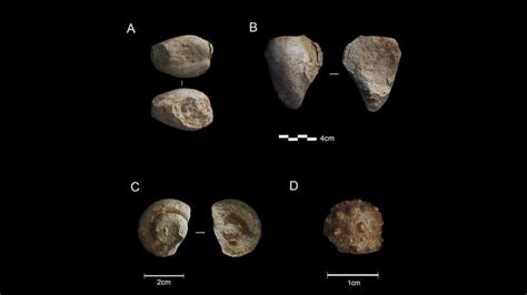 Neanderthals may have enjoyed collecting tchotchkes—just like us ...