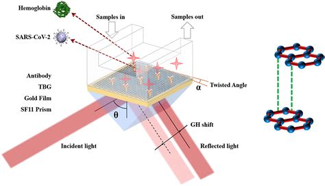 Sensitivity Enhanced Tunable Plasmonic Biosensor Using Two Dimensional