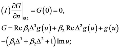 Blow Up And Attractor Of Solution For Problems Of Nonlinear Schrodinger