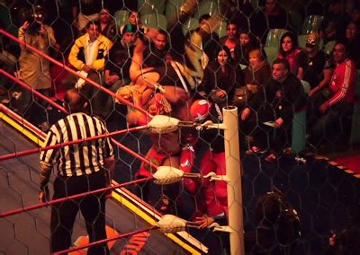 Lucha Libre Porra Fresa Shocker Y La Mascara Retan A Los Guerreros Por