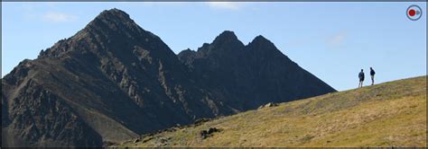 Alpine Tundra Biome - Untamed Science