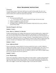 Essay Assignment Instructions Docx Subs Essay Assignment